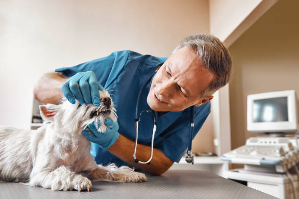 Best Emergency Denture Repair in Edburgh, IN